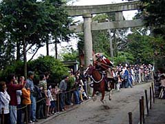 やんさんま祭り